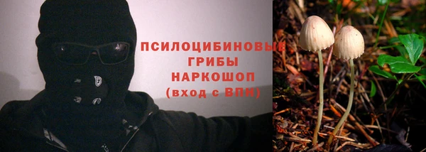 молекула духа Липки