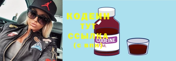 молекула духа Липки