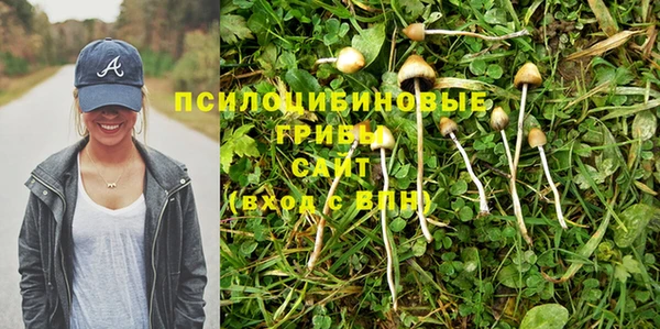 молекула духа Липки