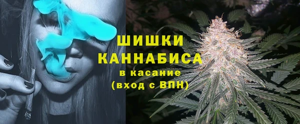 гашик Лихославль
